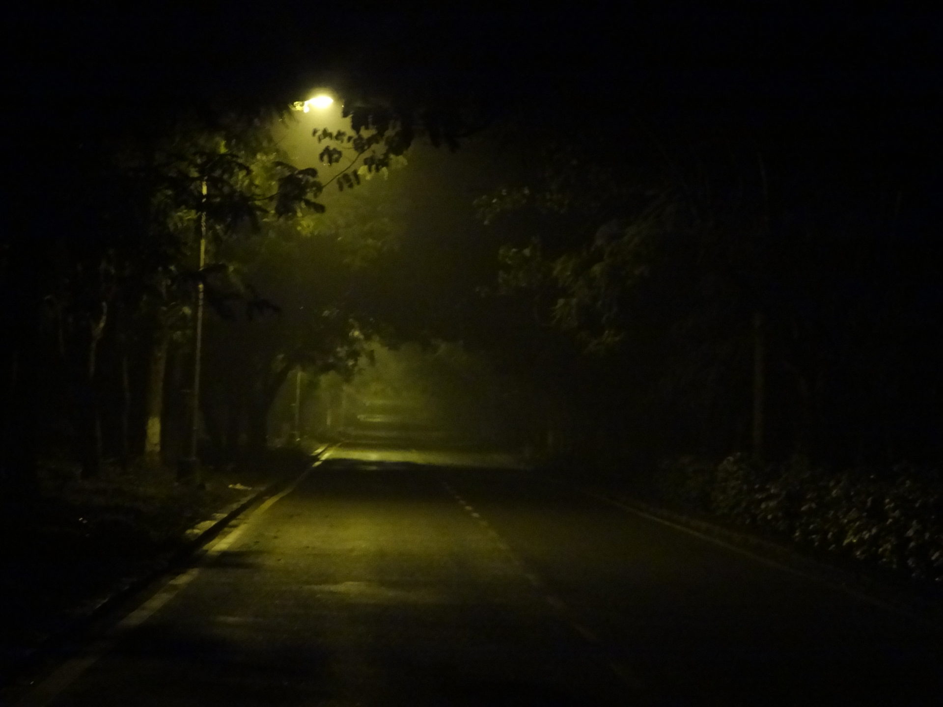 A haunted street scene
